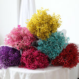 Kalsten | Dried Preserved Gypsophila Flower Bouquet – Natural Decor