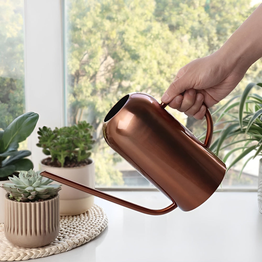Optimized Product Title: **Edelstahl-Gießkanne mit langem Ausguss – Präzises Gießen ohne Verschütten | Hochwertige Gießkanne für Garten und Pflanzenpflege**