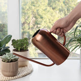Optimized Product Title: **Edelstahl-Gießkanne mit langem Ausguss – Präzises Gießen ohne Verschütten | Hochwertige Gießkanne für Garten und Pflanzenpflege**