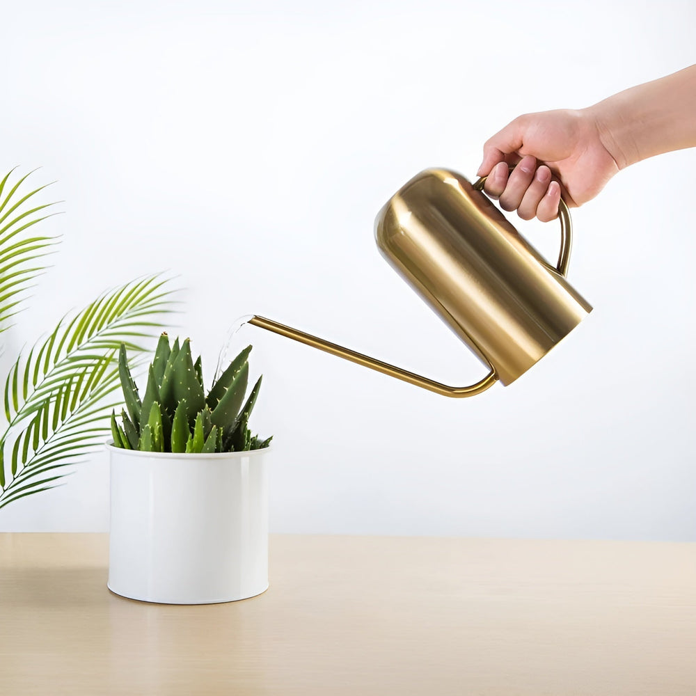 Optimized Product Title: **Edelstahl-Gießkanne mit langem Ausguss – Präzises Gießen ohne Verschütten | Hochwertige Gießkanne für Garten und Pflanzenpflege**