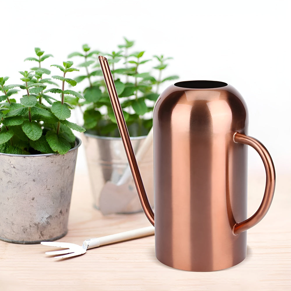 Optimized Product Title: **Edelstahl-Gießkanne mit langem Ausguss – Präzises Gießen ohne Verschütten | Hochwertige Gießkanne für Garten und Pflanzenpflege**