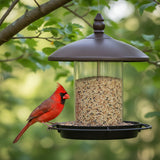 Metal Bird Feeder 360 Degree Perch Easy Refilling Cleaning