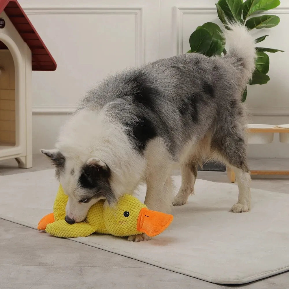 Squeaky Duck Dog Toy – Plush 38×45cm, Durable Handmade & Non-Toxic