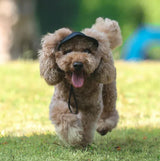 Dog Sun Hat with UV Protection – Adjustable Strap, Ear Holes & Reflective Trim