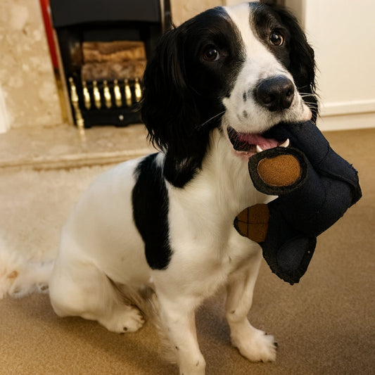 Durable Plush Dog Chew Toy – Bear Shape Design, Non-Toxic Material & All-Breed Fit