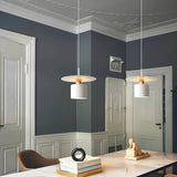 Pendant Light | Modern Minimalist Ceiling Lamp