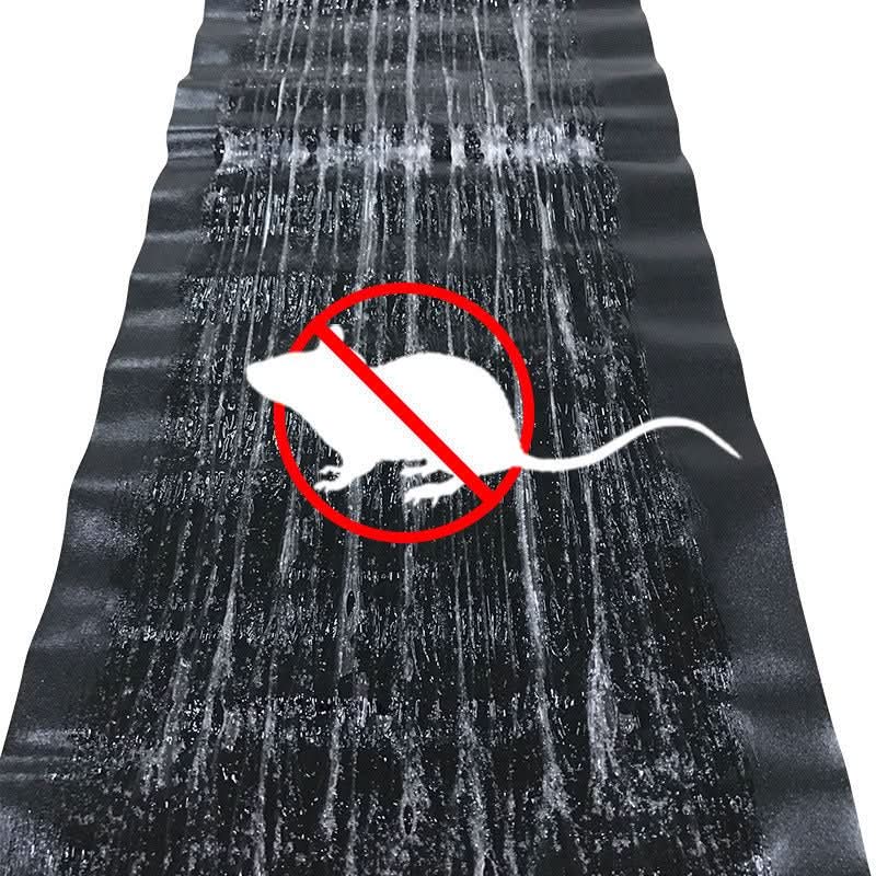 Glue Traps for Mice & Rats – Poison-Free, Large Surface, 10-Pack
