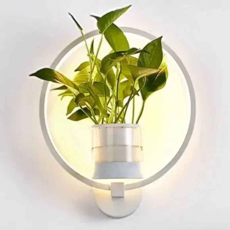 LED Pflanzen Wandleuchte mit Glasvase – Runde & Ovale Designs für Stilvolle Innenräume