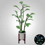 BowLift | Luminous Bloom | Magic LED Plant