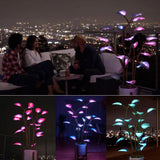 BowLift | Luminous Bloom | Magic LED Plant