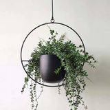 Optimized Product Title: "Moderner Hängeblumentopf aus hochwertigem Material – Stilvoller Pflanzenbehälter für Innen- und Außenbereich" 

This title includes relevant keywords and highlights the product's features, making it more appealing for Google Shop