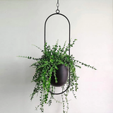 Optimized Product Title: "Moderner Hängeblumentopf aus hochwertigem Material – Stilvoller Pflanzenbehälter für Innen- und Außenbereich" 

This title includes relevant keywords and highlights the product's features, making it more appealing for Google Shop