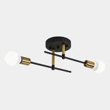 Modern 2-Light Ceiling Lamp | Black & Gold Flush Mount Chandelier