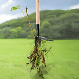 Stand-Up Weed Puller Remover – Lever-Action, Extendable Handle & Steel Blades
