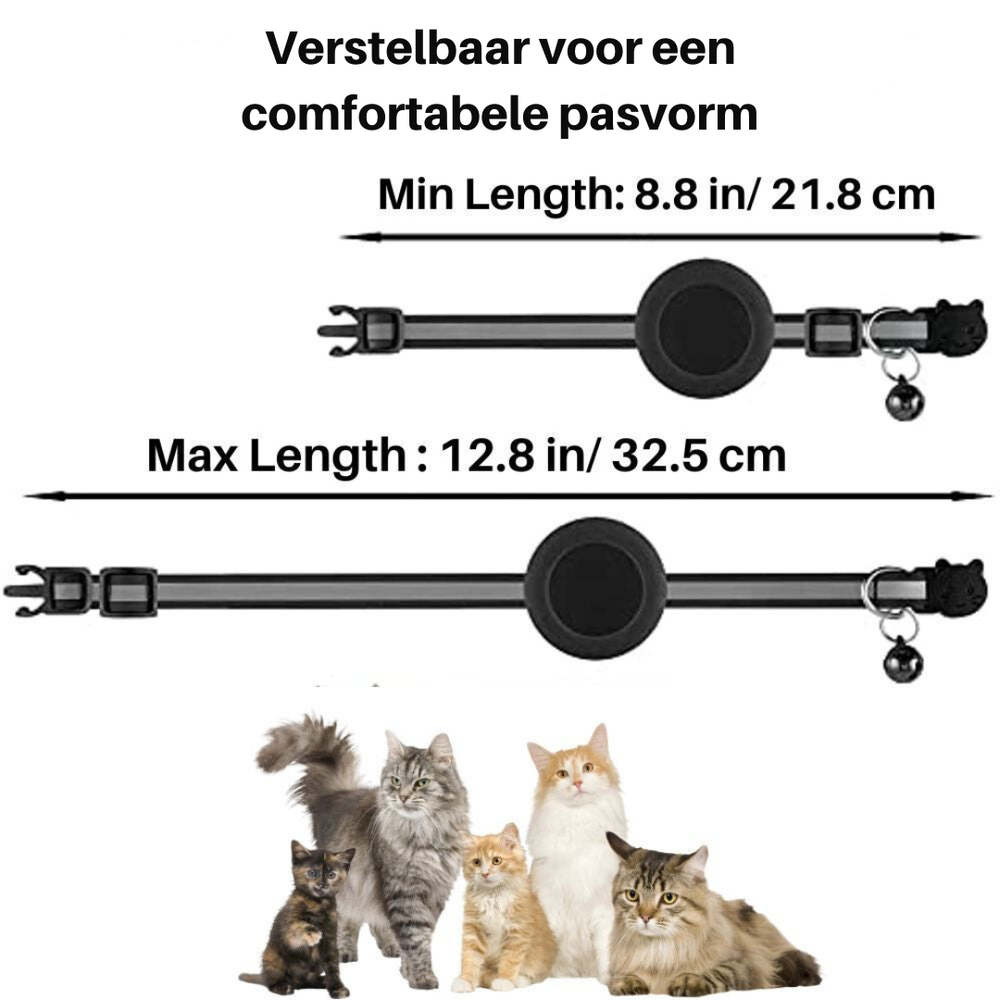 Milo – Cat Collar with Safety Buckle