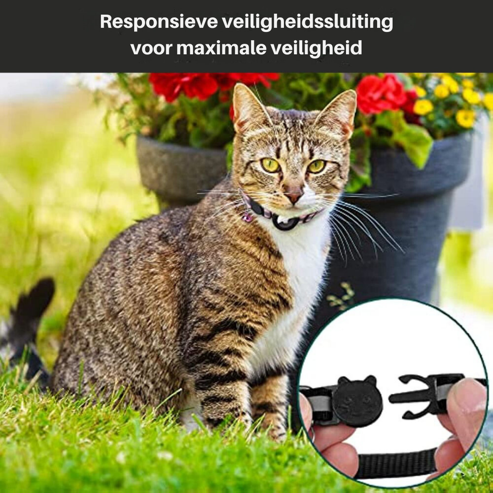Milo – Cat Collar with Safety Buckle