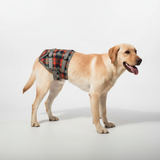 PawRelief Orthopedic Rear-Leg Dog Harness