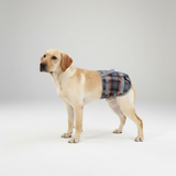 PawRelief Orthopedic Rear-Leg Dog Harness