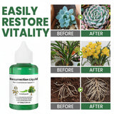 Plant Fertilizer Liquid Organic Growth Booster Healthy Gardens