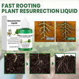 Plant Fertilizer Liquid Organic Growth Booster Healthy Gardens