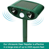 BowLift | Raccoon Outdoor Ultrasonic Repeller - Solar-powered Ultrasonic Animal and Pest Control - Get rid of raccoons within 48 hours