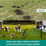 BowLift | Raccoon Outdoor Ultrasonic Repeller - Solar-powered Ultrasonic Animal and Pest Control - Get rid of raccoons within 48 hours