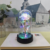 Table Lamp LED Rose Glass Dome Romantic Decorative Light