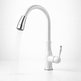 Kitchen Faucet Pull Out Metal Sink Tap Design