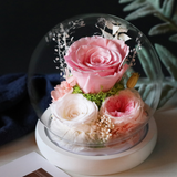 Rose Mothers Day Gift Preserved Flower Dome LED Table Decoration