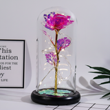 Mothers Day Rose Figure Display Glass Dome Gift Decoration