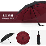 Windproof Storm Umbrella | The Umbrella That Withstands Any Storm