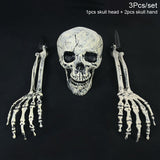 Bone-Tone Skull and Skeletal Arm Decoration Set