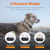 PetControl – Rechargeable Electric Dog Training Collar with Remote &amp; 1000m Range