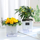 Self-Watering Plant Pot – Visible Water Level, Cotton Wick & White Design