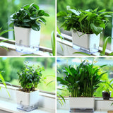 Self-Watering Plant Pot – Visible Water Level, Cotton Wick & White Design