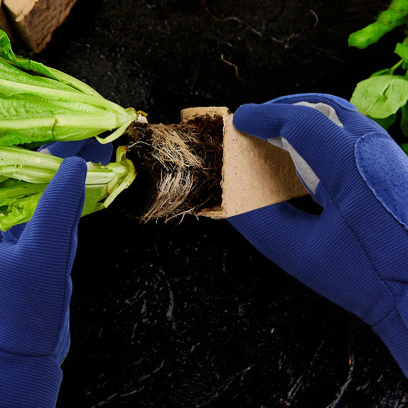 Optimized Product Title: "Robuste Dornenfeste Gartenhandschuhe mit Verstärkter Handfläche für Optimalen Schutz und Komfort" 

This title includes relevant keywords while emphasizing the product's durability and comfort, making it more appealing for potent