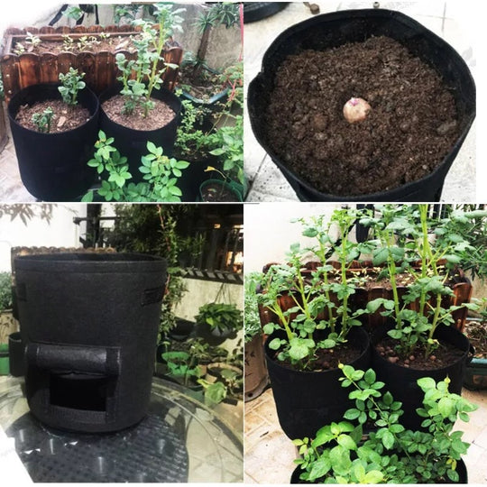 Optimized Product Title: "Wiederverwendbarer Pflanzsack mit Ernteklappe – Ideal für Gemüse und Kräuter – Hochwertiger Kweekzak für Garten und Balkon" 

This title includes relevant keywords while providing clear information about the product's features an