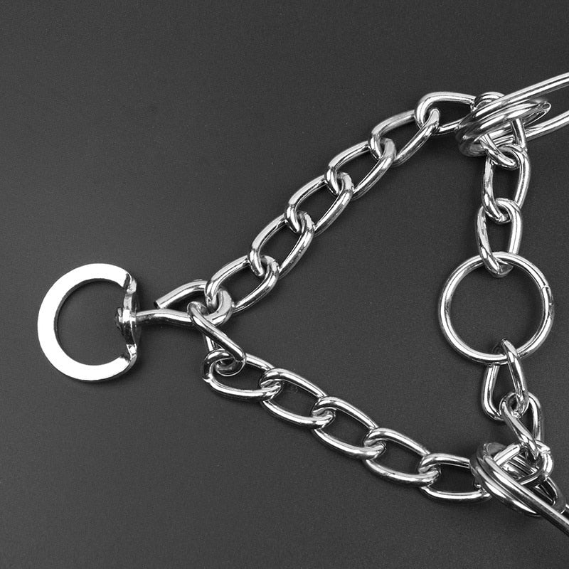 BowLift | Dog Pincher Collar - Stylish B