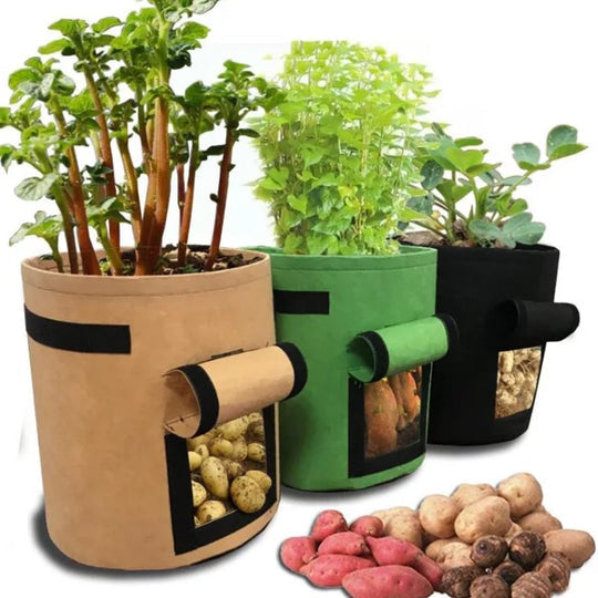 Optimized Product Title: "Wiederverwendbarer Pflanzsack mit Ernteklappe – Ideal für Gemüse und Kräuter – Hochwertiger Kweekzak für Garten und Balkon" 

This title includes relevant keywords while providing clear information about the product's features an