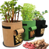 Optimized Product Title: "Wiederverwendbarer Pflanzsack mit Ernteklappe – Ideal für Gemüse und Kräuter – Hochwertiger Kweekzak für Garten und Balkon" 

This title includes relevant keywords while providing clear information about the product's features an
