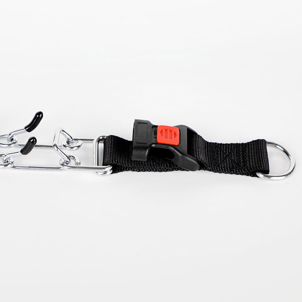 Dog Training Pinch Collar – Quick-Release Chrome Chain, Adjustable & S–XL Sizes