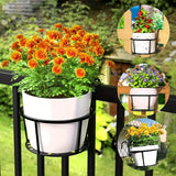 Optimized Product Title: "3er-Set Hängende Balkon-Topfhalter mit Haken – Ideal für Pflanzen und Blumen – Robuste und Wetterfeste Aufhängung" 

This title includes relevant keywords and highlights the product's features, making it more appealing for Google