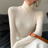Women's Everyday Sweater