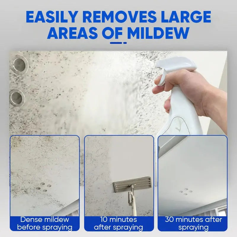Anti-Mold Spray – 240ml, No-Scrub Formula & Odor Eliminating Mildew Remover