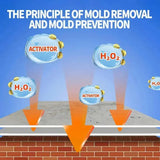 Anti-Mold Spray – 240ml, No-Scrub Formula & Odor Eliminating Mildew Remover