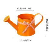 Decorative Metal Watering Can – Painted Steel, Perforated Rose Spout & Ribbon Bow