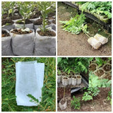 Biodegradable Seedling Bags – Breathable Nonwoven, Root-Friendly & 25/50/100 Pack