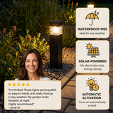 Solar LED Pathway Lights – Waterproof, Auto On/Off & Warm/Cool White