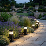 Solar LED Pathway Lights – Waterproof, Auto On/Off & Warm/Cool White