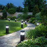 Solar LED Pathway Lights – Waterproof, Auto On/Off & Warm/Cool White